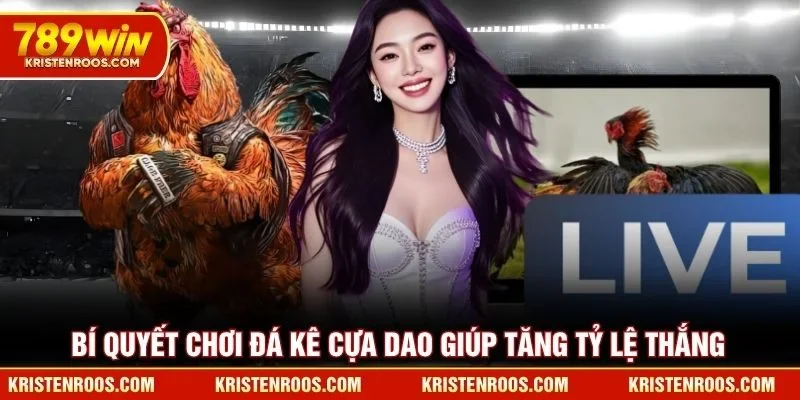 Đá Gà Cựa Dao Tạo Nên Sức Hút Khó Cưỡng Tại Đấu Trường 5 Bí quyết chơi đá kê cựa dao giúp tăng tỷ lệ thắng tại 789WIN