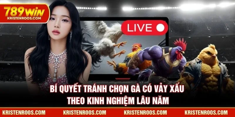 Bí quyết tránh chọn gà có vảy xấu theo kinh nghiệm lâu năm Bí quyết tránh chọn gà có vảy xấu theo kinh nghiệm lâu năm