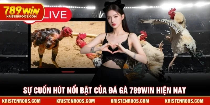 Sự cuốn hút nổi bật của đá gà 789WIN hiện nay Sự cuốn hút nổi bật của đá gà 789WIN hiện nay
