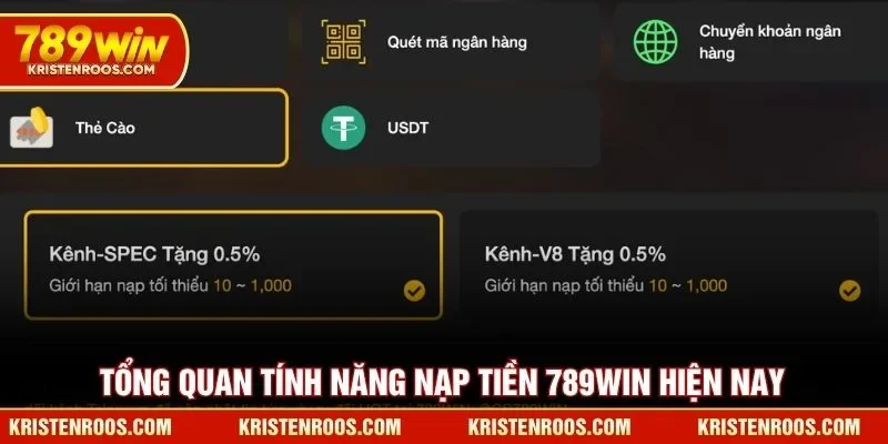 Tổng quan tính năng nạp tiền 789WIN hiện nay Tổng quan tính năng nạp tiền 789WIN hiện nay