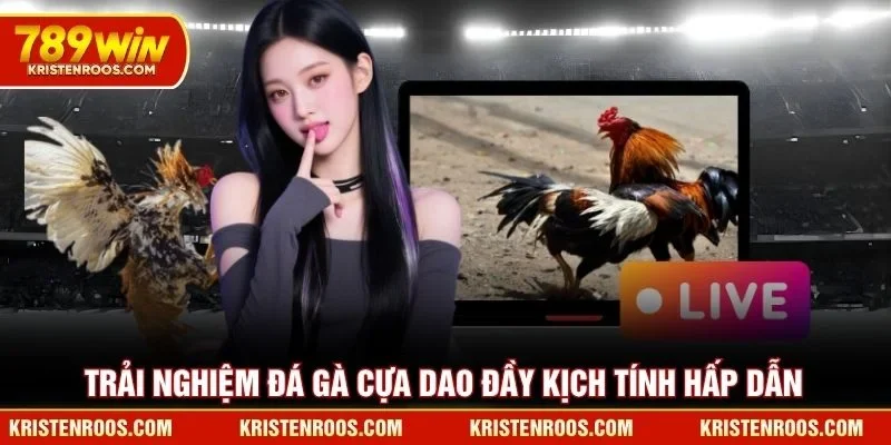 Đá Gà 789WIN Tạo Nên Không Gian Giải Trí Đỉnh Cao Nhất 4 Trải nghiệm đá gà cựa dao 789WIN đầy kịch tính hấp dẫn